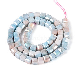 Anti-Tarnish Electroplate Glass Beads Strands&nbsp;GLAA-T025-6mm-10J