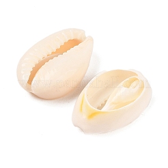 Natural Cowrie Shell Beads&nbsp;BSHE-Q296-1