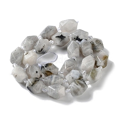 Natural Labradorite Beads Strands&nbsp;G-C182-25-01