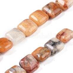 Natural Crazy Lace Agate Beads Strands&nbsp;G-M435-A04-01