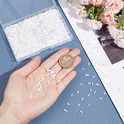 80g 4 Styles White Series Glass Bugle Beads&nbsp;SEED-GO0001-01