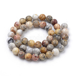Natural Crazy Lace Agate Beads Strands&nbsp;G-S259-38-10mm