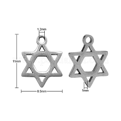 304 Stainless Steel Charms&nbsp;STAS-CJ0002-06