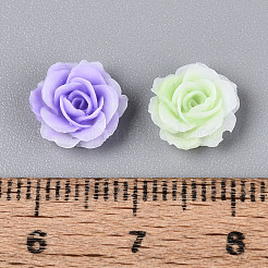 Opaque Resin Decoden Cabochons&nbsp;RESI-N052-02