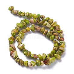 Natural Imperial Jasper Bead Strands&nbsp;G-P444-05