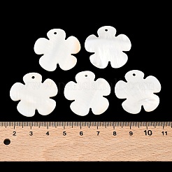 Shell Pendants&nbsp;X-PBB180Y