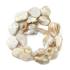 Handmade Shell Beads Strands&nbsp;X-PBB471-1