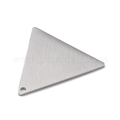 Tarnish Resistant 304 Stainless Steel Pendants&nbsp;STAS-F271-08F-P