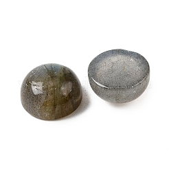 Natural Labradorite Cabochons&nbsp;G-D804-02