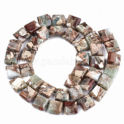Natural Aqua Terra Jasper Beads Strands&nbsp;G-S366-018B