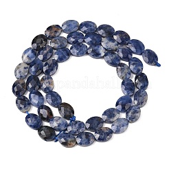 Natural Sodalite Beads Strands&nbsp;G-H349-A01-13