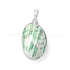 Natural Sea Shell Pendants&nbsp;SHEL-F005-01P