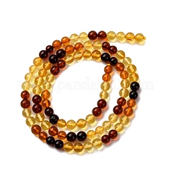 Gradient Color Natural Amber Beads Strands&nbsp;G-F803-F01-6mm