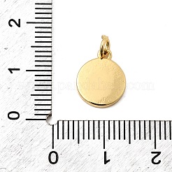 Brass Enamel Charms&nbsp;KK-I360-020G