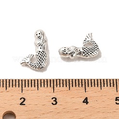 Tibetan Style Alloy Beads&nbsp;FIND-C043-019AS