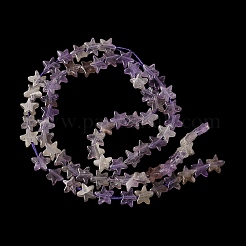 Natural Amethyst Beads Strands&nbsp;G-F817-A15-01