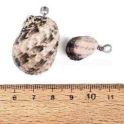 Brass & Natural Spiral Shell Pendants&nbsp;SHEL-Q029-28P
