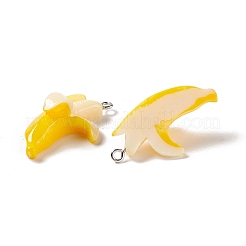 Opaque Resin Pendants&nbsp;RESI-G040-B05