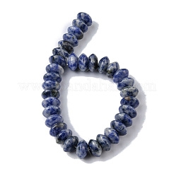 Natural Blue Spot Jasper Beads Strands&nbsp;G-F743-05B