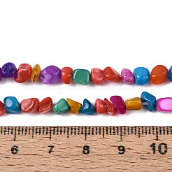 Natural Freshwater Shell Beads Strands&nbsp;SHEL-N038-06B