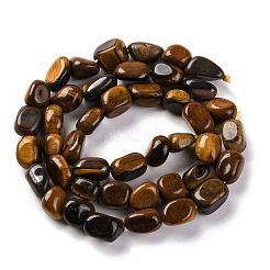 Natural Tiger Eye Beads Strands&nbsp;G-G146-A05-01