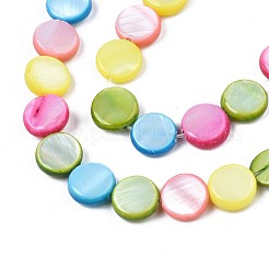 Freshwater Shell Beads Strands&nbsp;SHEL-T009-B16-06