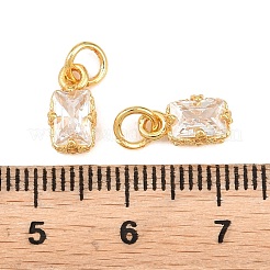 Brass Pave Cubic Zirconia Charms&nbsp;KK-K340-50G-03