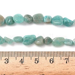 Natural Amazonite Beads Strands&nbsp;X-G-F521-25
