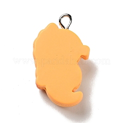Opaque Resin Pendants&nbsp;LS-RESI-G043-E03