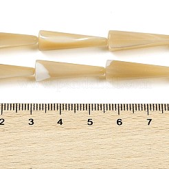 Natural Trochus Shell Beads Strands&nbsp;BSHE-G036-04