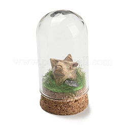 Gemstone Polygon Display Decoration with Glass Dome Cloche Cover&nbsp;DJEW-B009-05