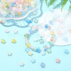 200Pcs Frosted Acrylic Beads&nbsp;FACR-CJ0001-19