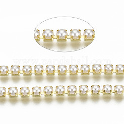 Brass Claw Chains&nbsp;CHC-Q012-SS12-01G