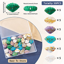 30Pcs 6 Colors Handmade Lampwork Beads&nbsp;LAMP-TA0001-53