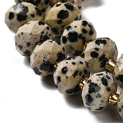 Natural Dalmatian Jasper Beads Strands&nbsp;G-P573-A63-10x6mm