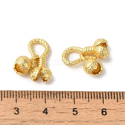 Rack Plating Brass Hook and S-Hook Clasps&nbsp;KK-S375-17G