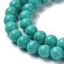 Natural Howlite Beads Strands&nbsp;G-E604-B01