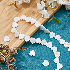 4 Strands Natural Freshwater Shell Beads Strands&nbsp;SHEL-HS0001-11
