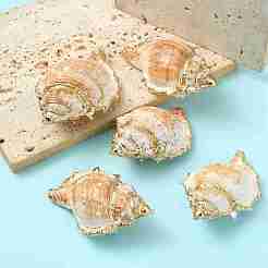 5Pcs Natural Sea Shell Big Pendants with Golden Brass Edge&nbsp;BSHE-YW0001-16