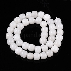 Dyed Natural White Jade Beads Strands&nbsp;G-T138-S01