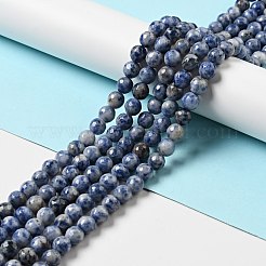 Natural Blue Spot Jasper Beads Strands&nbsp;G-P476-01C-02