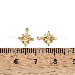 304 Stainless Steel Charms&nbsp;STAS-K295-16G