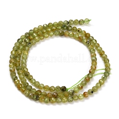 Natural Peridot Beads Strands&nbsp;GG-CBA753B-A04-3mm