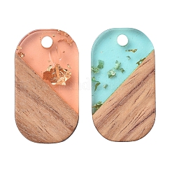 Transparent Resin & Walnut Wood Pendants&nbsp;RESI-CJ0001-96