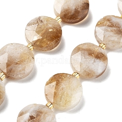 Heated Natural Citrine Beads Strands&nbsp;G-C116-A173-03