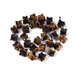 Natural Tiger Eye Beads Strands&nbsp;G-Q608-07A-06
