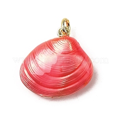 Brass Enamel Pendants&nbsp;KK-I378-12G-B