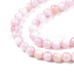 Natural Freshwater Shell Beads Strands&nbsp;BSHE-T009A-01C