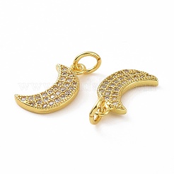 Brass Micro Pave Cubic Zirconia Pendants&nbsp;KK-E068-VF049