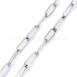 3Pcs 304 Stainless Steel Paperclip Chains Eyeglasses Chains&nbsp;AJEW-DJ0003-47